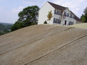 Erosion Control